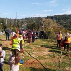 First Aid provision - Enviromental Awareness and tree planting at the two-day event organised by the Municipality of Petroupolis