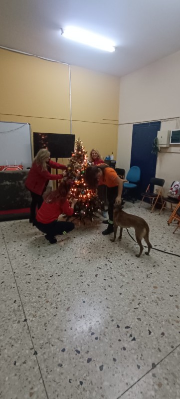 🎄 Η ΕΠ.ΟΜ.Ε.Α. στόλισε και φέτος τον χώρο της με γιορτινή λάμψη