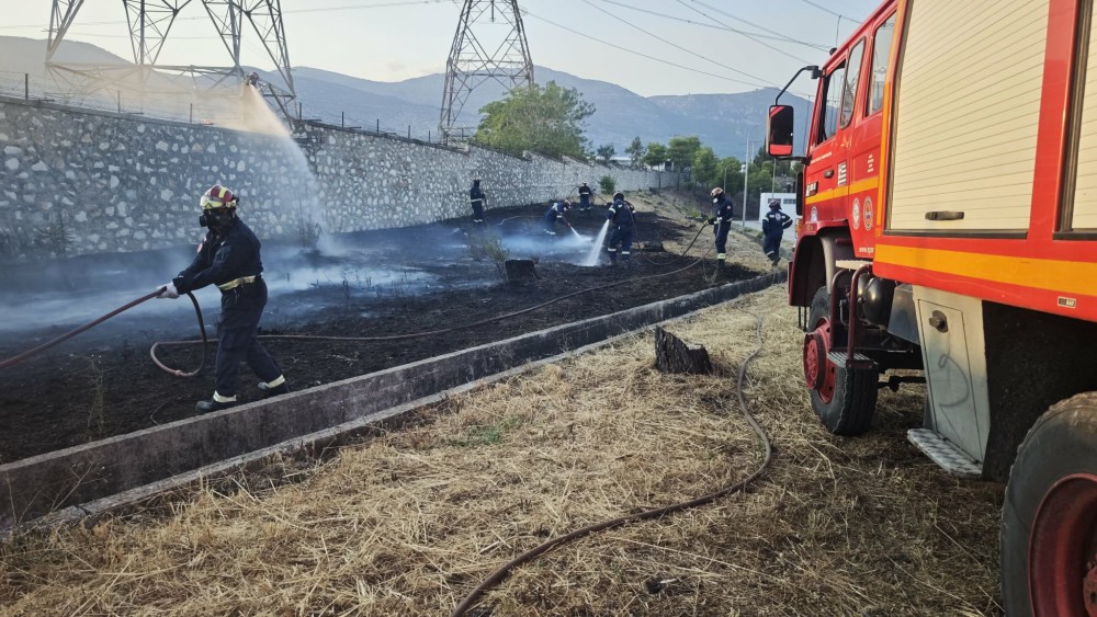 🔥 ΠΥΡΚΑΓΙΑ ΣΤΟ ΜΕΝΙΔΙ – ΑΜΕΣΗ ΣΥΝΔΡΟΜΗ ΤΗΣ ΕΠ.ΟΜ.Ε.Α.