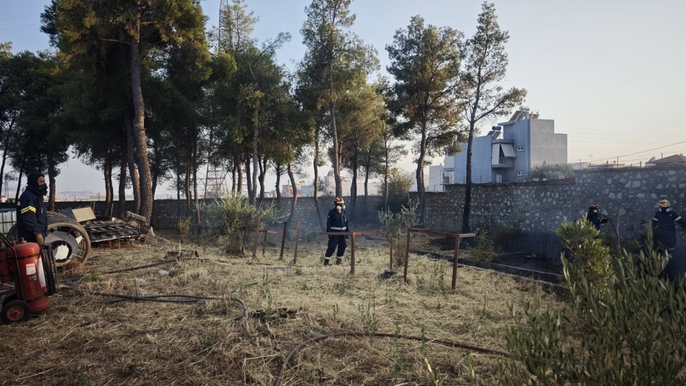 🔥 ΠΥΡΚΑΓΙΑ ΣΤΟ ΜΕΝΙΔΙ – ΑΜΕΣΗ ΣΥΝΔΡΟΜΗ ΤΗΣ ΕΠ.ΟΜ.Ε.Α.