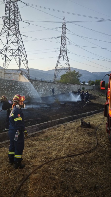 🔥 ΠΥΡΚΑΓΙΑ ΣΤΟ ΜΕΝΙΔΙ – ΑΜΕΣΗ ΣΥΝΔΡΟΜΗ ΤΗΣ ΕΠ.ΟΜ.Ε.Α.