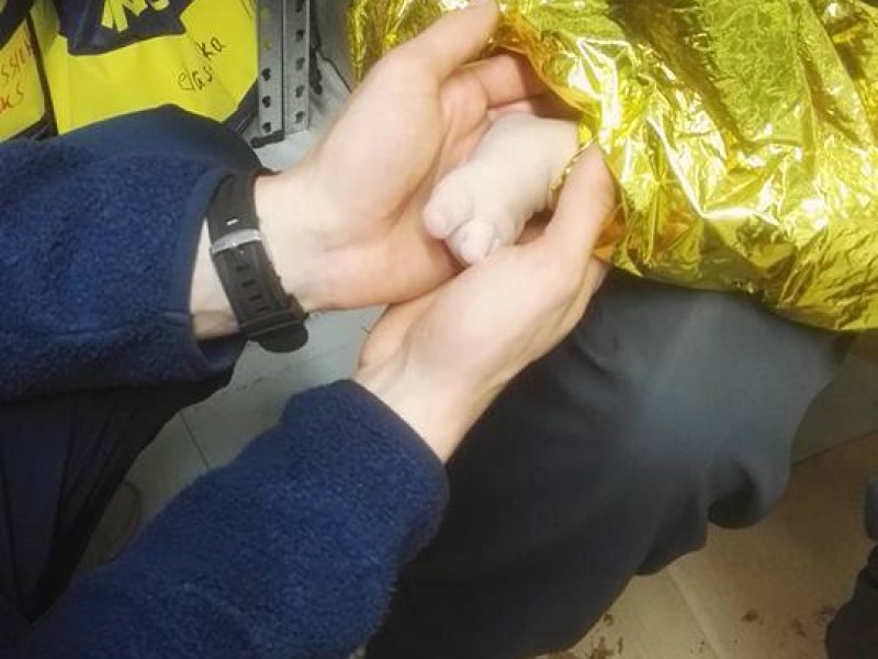 Επιχείρηση στην Μυτιλήνη