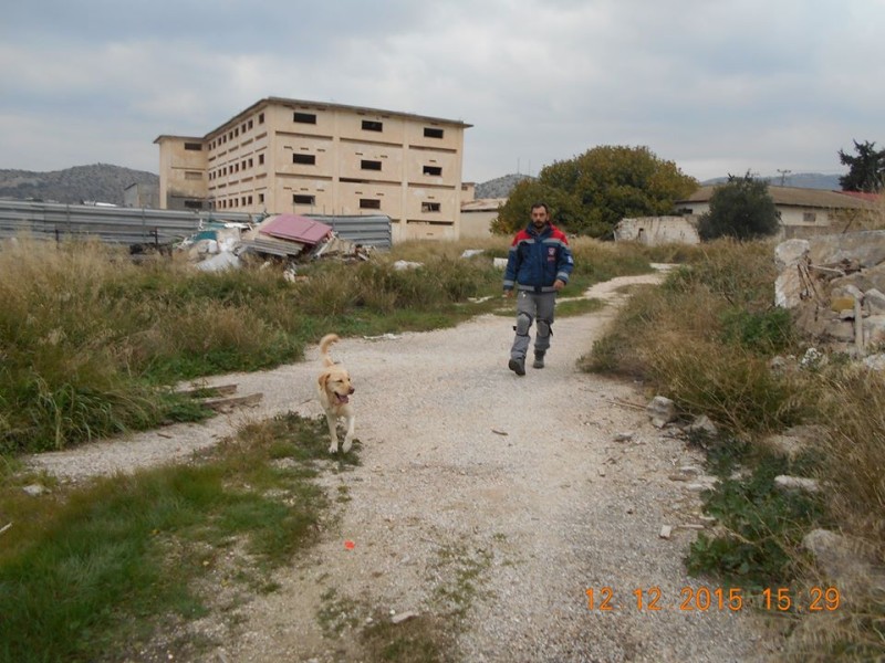 'Ασκηση σεισμού 2015