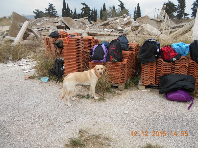 'Ασκηση σεισμού 2015