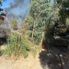 🔥 Πυρκαγιά σε πλήρη εξέλιξη στη Ραφήνα – Άμεση κινητοποίηση της ΕΠ.ΟΜ.Ε.Α. 🔥 Πυρκαγιά σε πλήρη εξέλιξη στη Ραφήνα – Άμεση κινητοποίηση της ΕΠ.ΟΜ.Ε.Α.