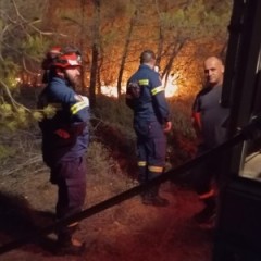 Ολονύχτια Μάχη με τις Φλόγες στον Ωρωπό –  Παρέμβαση των Εθελοντών της ΕΠΟΜΕΑ Ολονύχτια Μάχη με τις Φλόγες στον Ωρωπό –  Παρέμβαση των Εθελοντών της ΕΠΟΜΕΑ