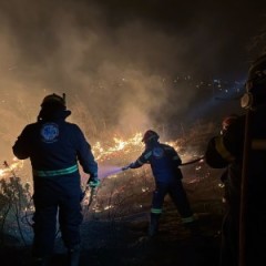 🔥 ΕΠ.ΟΜ.Ε.Α.: Επί ποδός στο Κρυονέρι – Συνεχίζεται η επιχείρηση στα πύρινα μέτωπα 🔥 ΕΠ.ΟΜ.Ε.Α.: Επί ποδός στο Κρυονέρι – Συνεχίζεται η επιχείρηση στα πύρινα μέτωπα