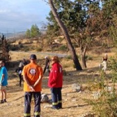 Υγειονομική κάλυψη της ΕΠΟΜΕΑ σε δράση φροντίδας δάσους στην Πεντέλη Υγειονομική κάλυψη της ΕΠΟΜΕΑ σε δράση φροντίδας δάσους στην Πεντέλη