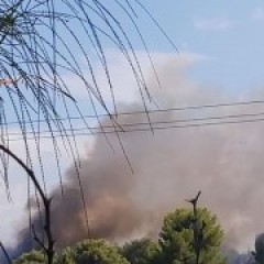 Συγχαρητήρια στους εθελοντές της ΕΠ.ΟΜ.Ε.Α. Δήμου Λοκρών Συγχαρητήρια στους εθελοντές της ΕΠ.ΟΜ.Ε.Α. Δήμου Λοκρών
