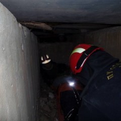 Training in real life earthquake scenarios Training in real life earthquake scenarios