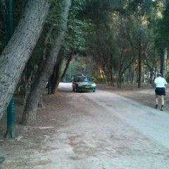 Περιπολίες Πυρασφάλειας στο Δημοτικό άλσος Αιγάλεω Περιπολίες Πυρασφάλειας στο Δημοτικό άλσος Αιγάλεω