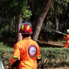 ΑΣΚΗΣΗ ΠΥΡΟΠΡΟΣΤΑΣΙΑΣ ΣΤΟ ΔΗΜΟΤΙΚΟ ΑΛΣΟΣ ΑΙΓΑΛΕΩ "ΜΠΑΡΟΥΤΑΔΙΚΟ"   ΑΣΚΗΣΗ ΠΥΡΟΠΡΟΣΤΑΣΙΑΣ ΣΤΟ ΔΗΜΟΤΙΚΟ ΑΛΣΟΣ ΑΙΓΑΛΕΩ "ΜΠΑΡΟΥΤΑΔΙΚΟ"