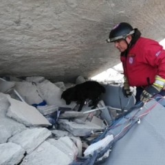 Συνέχεια Ερευνών στην Αλβανία. Οι δηλώσεις του Προέδρου ΕΠ.ΟΜ.Ε.Α. Ελλάδος Μιλτιάδη Μπενάκη Συνέχεια Ερευνών στην Αλβανία. Οι δηλώσεις του Προέδρου ΕΠ.ΟΜ.Ε.Α. Ελλάδος Μιλτιάδη Μπενάκη