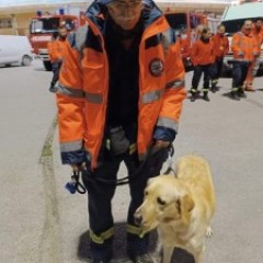 Η Sugar με την αποστολή της ΕΠ.ΟΜ.Ε.Α. στην Τουρκία  Η Sugar με την αποστολή της ΕΠ.ΟΜ.Ε.Α. στην Τουρκία