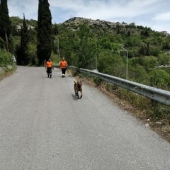 Έναρξη τρίτης ημέρας ερευνών για τον 90χρονο αγνοούμενο Έναρξη τρίτης ημέρας ερευνών για τον 90χρονο αγνοούμενο