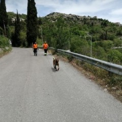 Έναρξη τρίτης ημέρας ερευνών για τον 90χρονο αγνοούμενο