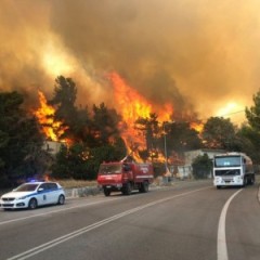 Νέα πυρκαγιά στην περιοχή των Βιλίων