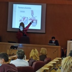 Σεμινάριο Α ' Βοηθειών στο προσωπικό του Δημαρχείου Αθηνών Σεμινάριο Α ' Βοηθειών στο προσωπικό του Δημαρχείου Αθηνών