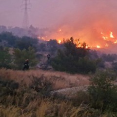 Οι εθελοντές της ΕΠ.ΟΜ.Ε.Α. συνεχίζουν να συνδράμουν την Π.Υ.