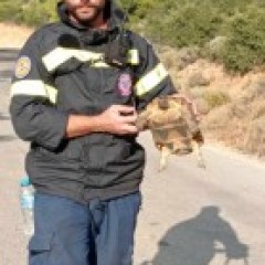 Κάθε μορφή ζωής πολύτιμη για τους εθελοντές της ΕΠ.ΟΜ.Ε.Α. Κάθε μορφή ζωής πολύτιμη για τους εθελοντές της ΕΠ.ΟΜ.Ε.Α.