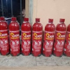 Τα Carner πιστά στο ραντεβού τους με τον εθελοντισμό Τα Carner πιστά στο ραντεβού τους με τον εθελοντισμό